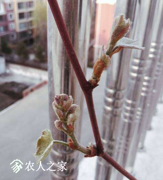 QQͼƬ20170425091726.jpg