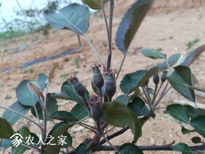 105845wj65qooisreh5qqe.jpg