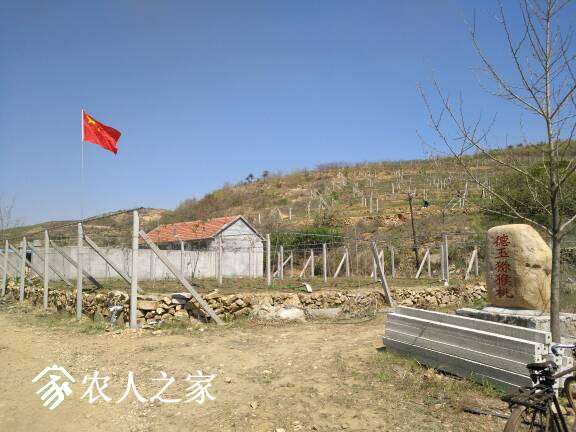 192542jyjyf0kqqxfcjmkj.jpg