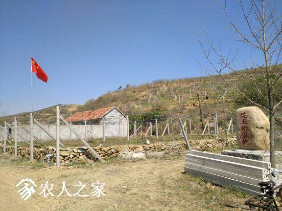 192543lgdagdqxpla34pla.jpg
