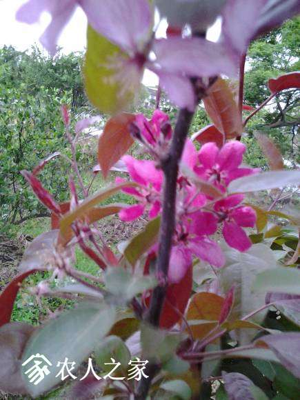 20170426_174803.jpg