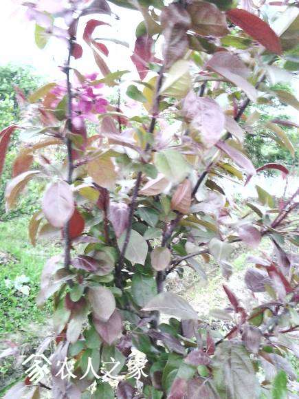 20170426_175020.jpg