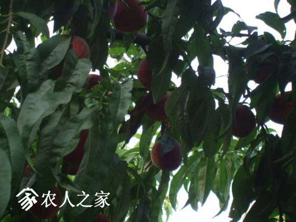 찮 011.jpg