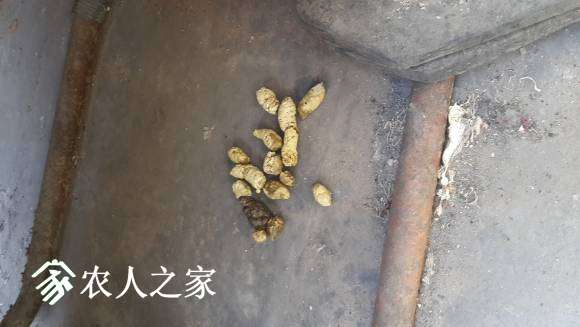 20170427_104825.jpg