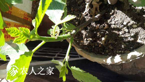 20170427_110034.jpg