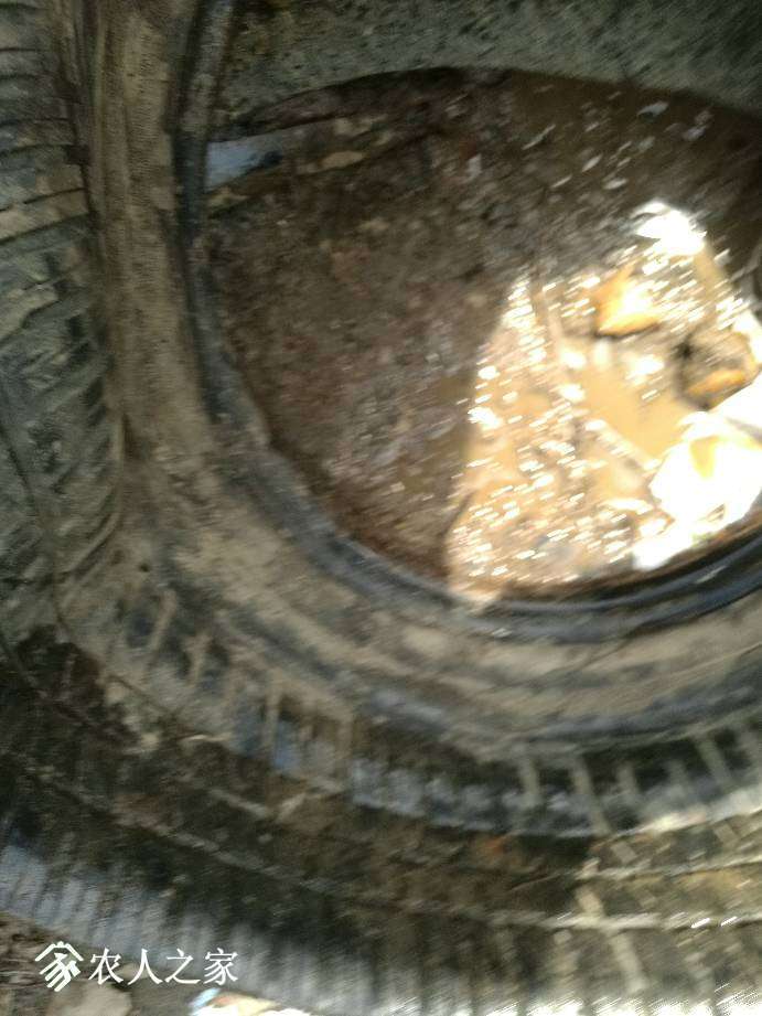 115145rj6q6jdjj8bgjdd7.jpg