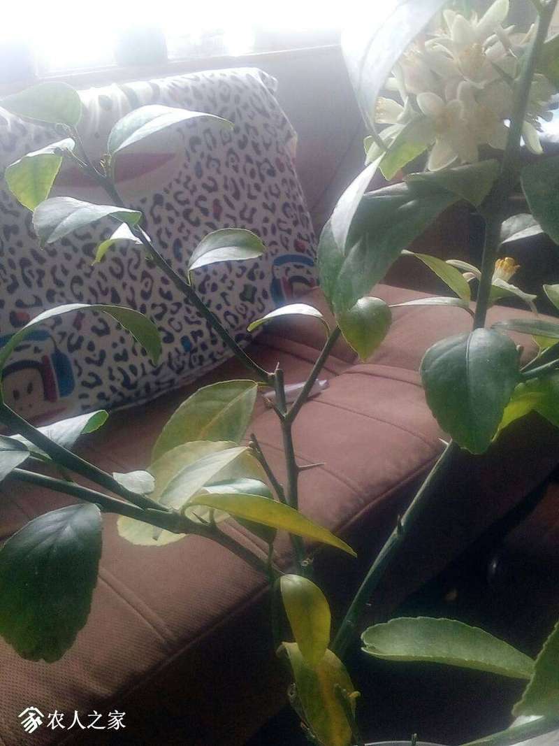 162514nia6uoqyi9ai81ra.jpg