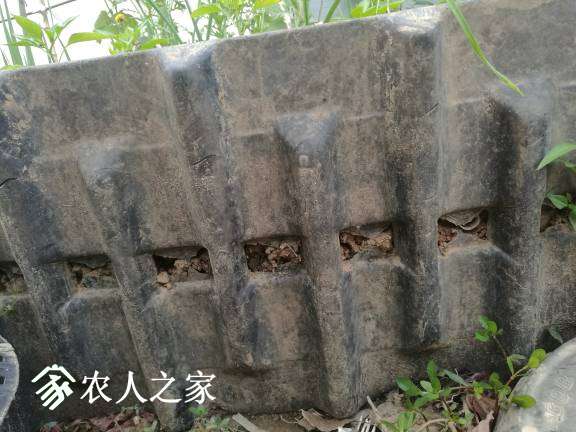 185414dlvcirm7jlcgchbm.jpg
