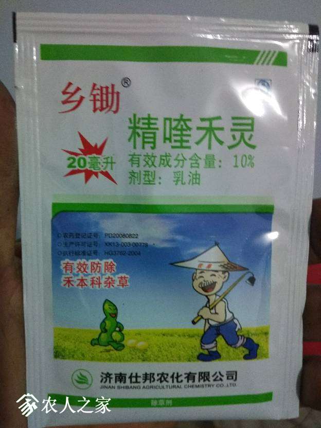 221608q6xup7qua36kqaip.jpg