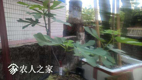 WP_20170427_18_16_50_Pro.jpg