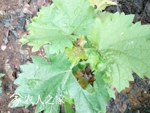 IMG_20170427_092737.jpg