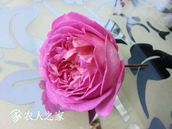 20150124_191228_LLS.jpg