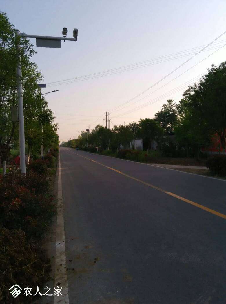 065850fioro87mqoprqlia.jpg