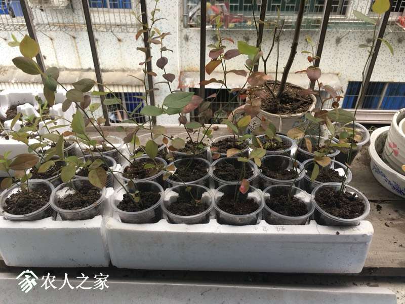 071632v592ips2qha5s5uz.jpg