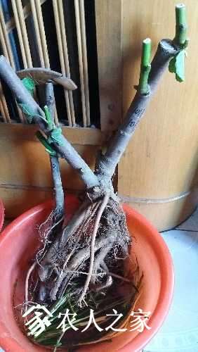 20170428_170848.jpg