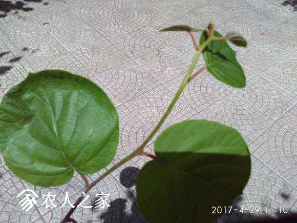 IMG_20170429_111019.jpg