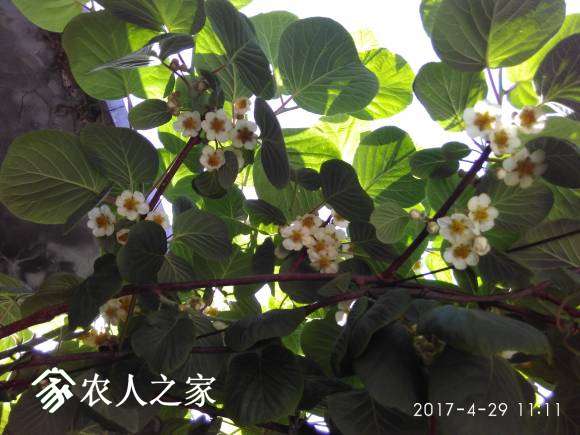 IMG_20170429_111149.jpg
