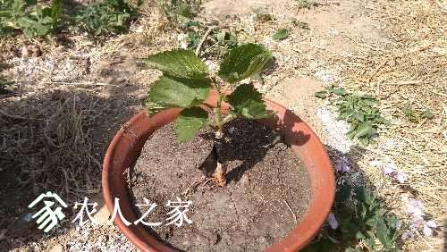 IMG_20170429_150833.jpg