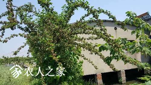 20170429_124348.jpg