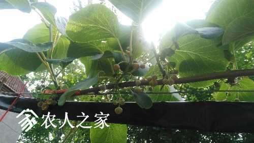 IMG_20170426_145559.jpg