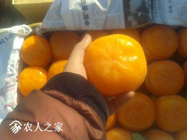 093523axmzg76ifc9gwfga.jpg