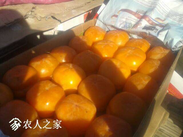 093523f9622gg4199911qj.jpg