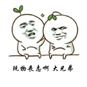110640z2bgmwn1dbzfnwg1.jpg