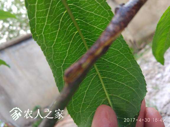184711re282eh2222j4j88.jpg