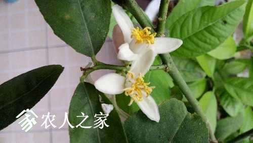 IMG_20170425_132240.jpg