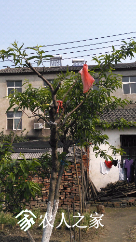 IMG_20160413_095950.jpg