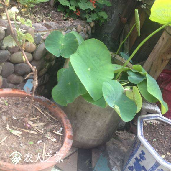 20170501_IMG_6163.JPG