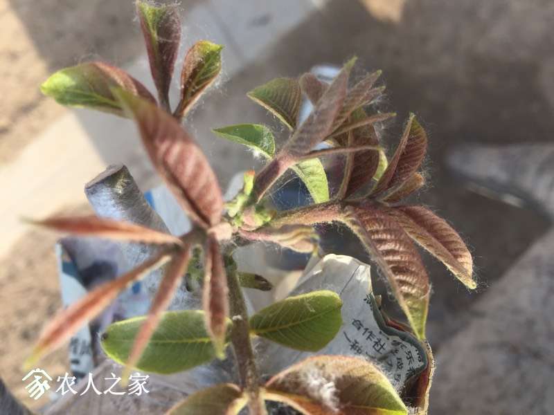 190221q7iqdno8ete8yyeo.jpg