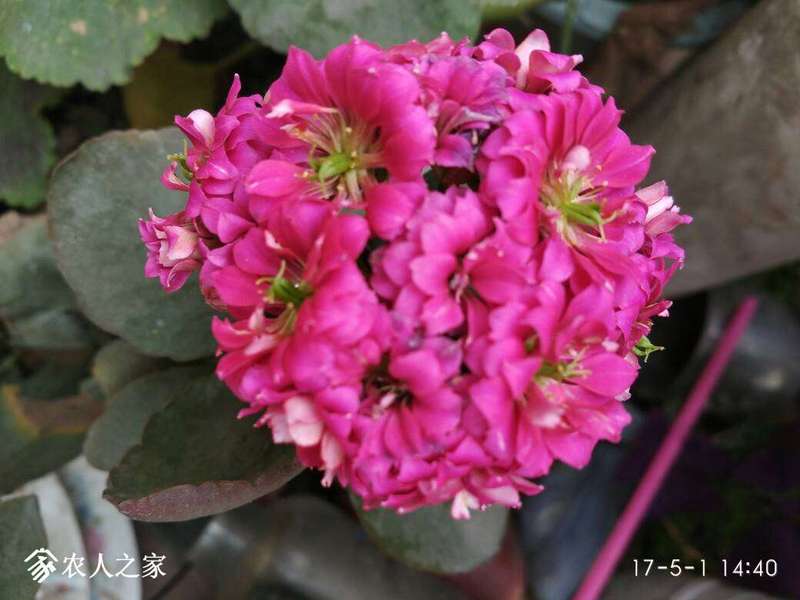 094136ghh9d3jjyd65co06.jpg