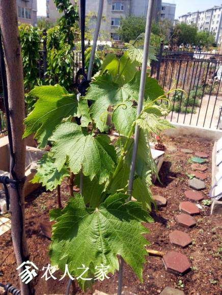 20170502_115525.jpg