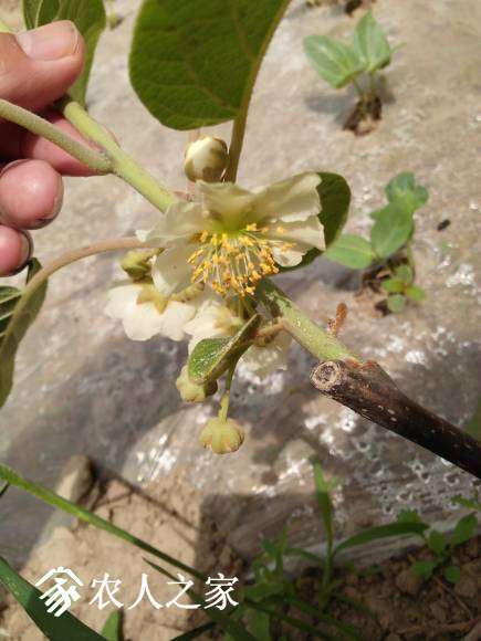 IMG20170501114624.jpg