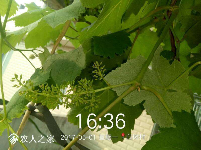 125235jc449466oo2829js.jpg