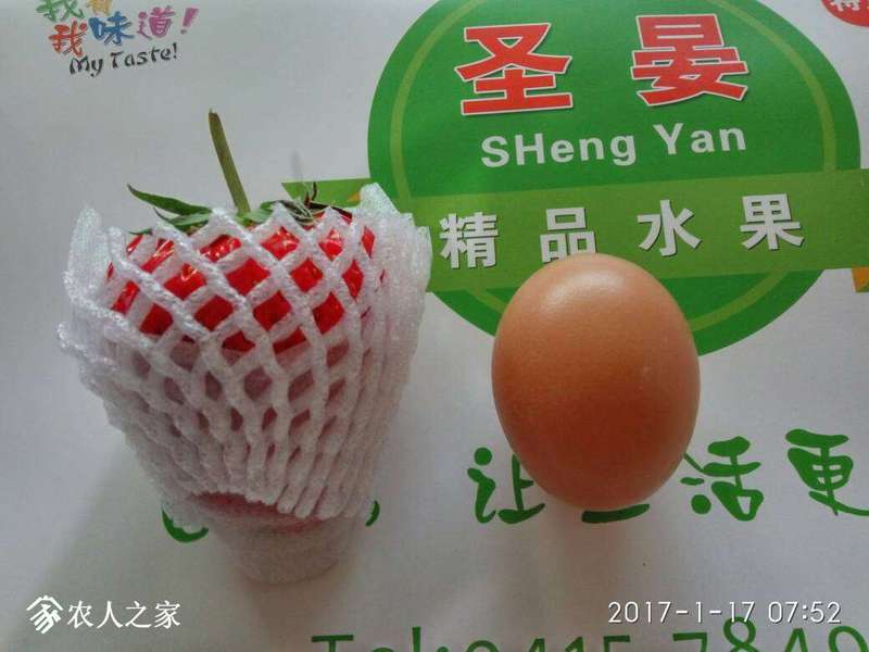 145444mqmbcp4pbt8y886p.jpg