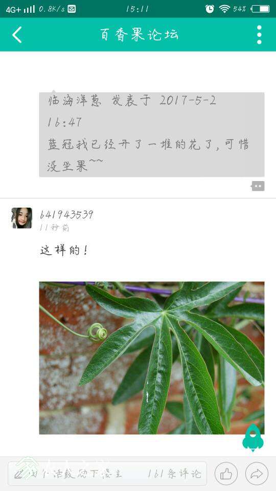 151316gnz2mg429a94udha.jpg