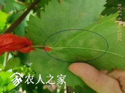 20170503_151528_014.jpg