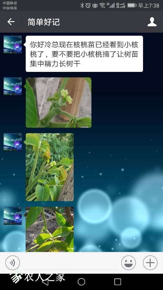 180715t679fzyyylzifrq4.png