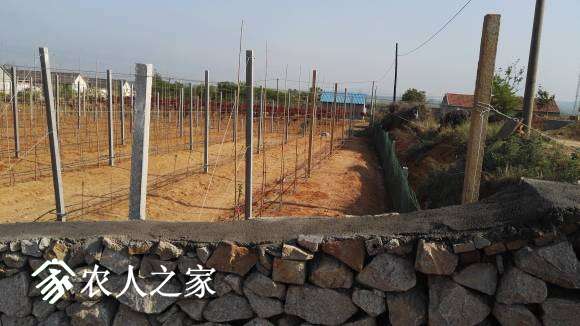 ���׸ߵĵ���ǽ