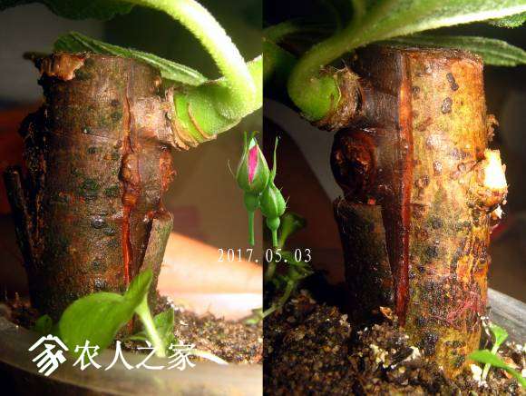 IMG_8650 ����.jpg