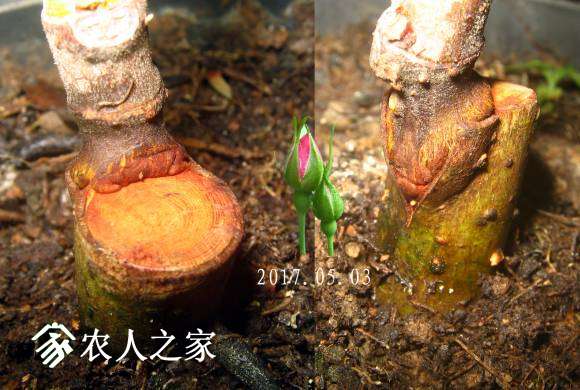 IMG_8655 ����.jpg