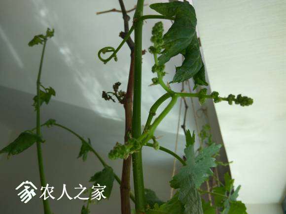 2017-04-30_11-19-56_738042_org.jpg