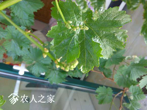 2017-04-30_11-21-08_810312_org.jpg