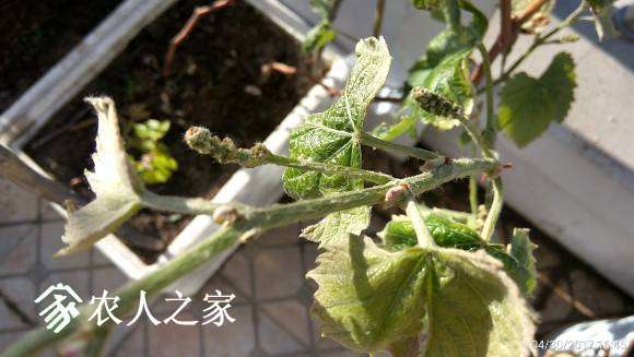 C360_2017-04-30-16-45-48-185.jpg