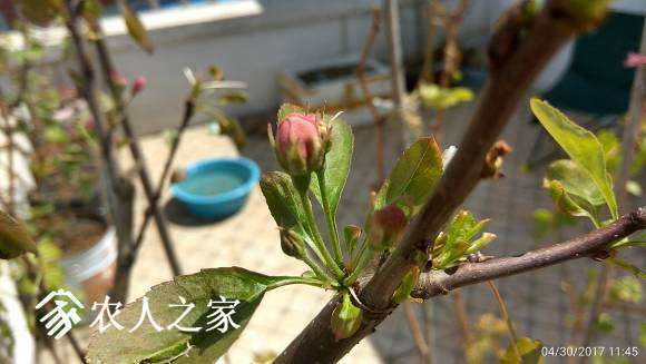 C360_2017-04-30-11-45-16-293.jpg