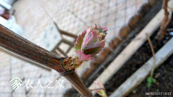 C360_2017-04-30-18-23-32-095.jpg