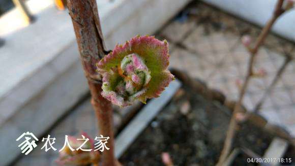 C360_2017-04-30-18-15-50-149.jpg