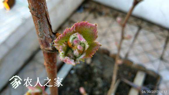 C360_2017-04-30-18-13-40-368.jpg